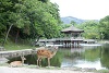 Noborioji Hotel, Nara, Japan 